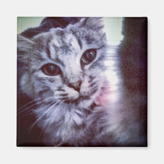 Baby Artemis Magneet (Voorkant)