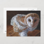 Baby Barn Owl Bird Briefkaart (Voorkant / Achterkant)