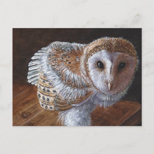Baby Barn Owl Bird Briefkaart (Voorkant)