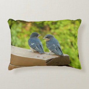 Baby Barn Swallows Natuur Fotografie Decoratief Kussen