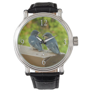 Baby Barn Swallows Natuur Fotografie Horloge