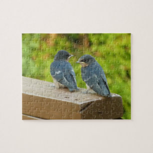 Baby Barn Swallows Natuur Fotografie Legpuzzel