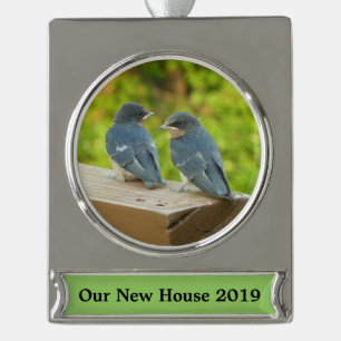Baby Barn Swallows Natuur Fotografie Verzilverd Banner Ornament