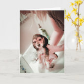 Baby Beagle Bathtime Kaart (Gele Bloem)