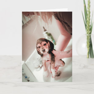 Baby Beagle Bathtime Kaart