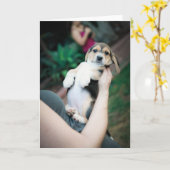 Baby Beagle Belly Kaart (Gele Bloem)