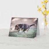 Baby Beagle en Leaf Kaart (Gele Bloem)