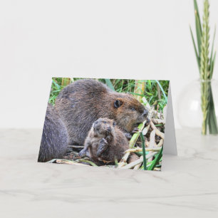 Baby Beaver en Familie Foto Kaart