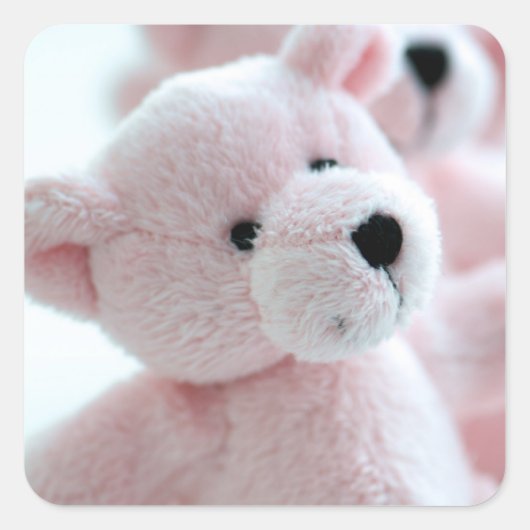 Baby Beer Vierkante Sticker (Voorkant)