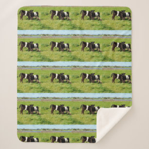 Baby Belted Galloway Calves, Med Sherpa Blanket Deken