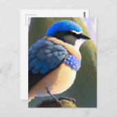 Baby bergen Bluebird, Postkruising Briefkaart (Voorkant / Achterkant)