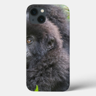 Baby berggorilla iPhone 13 hoesje