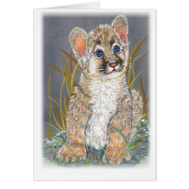 Baby berleeuw (Voorkant)