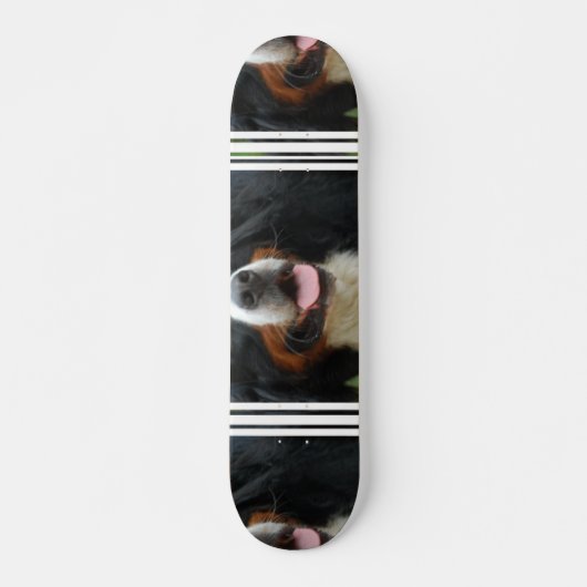 Baby Bernese Mountain Dog Skateboard (Voorkant)
