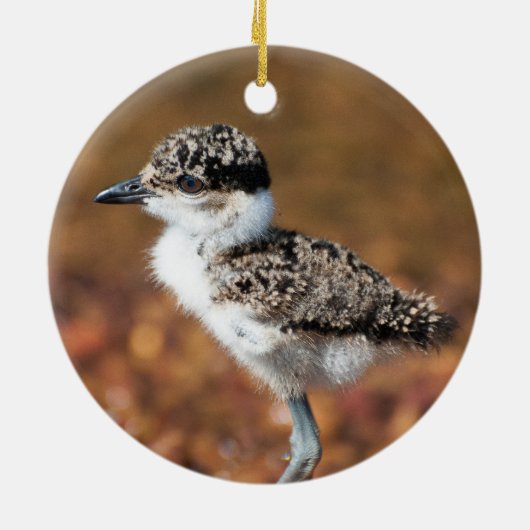 Baby Bird Keramisch Ornament (Achterkant)