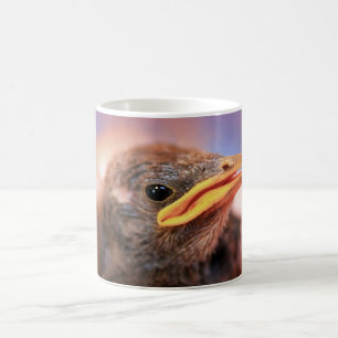 Baby Bird Koffiemok