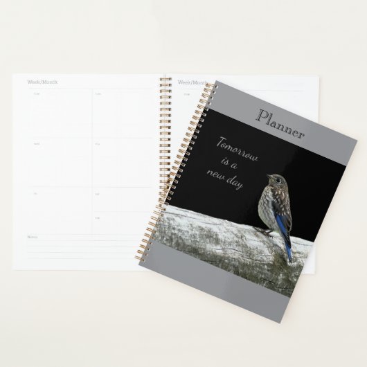 Baby Bird Planner (Display)