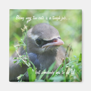 Baby Bird too Cute Funny Natuur Magnet Magneet
