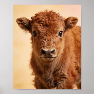 Baby Bizon Portret – Prairie Nursery Muurkunst Poster