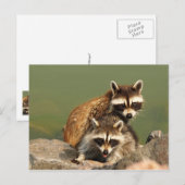 Baby blaasjes briefkaart (Voorkant / Achterkant)