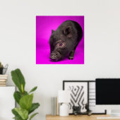 Baby Black Pig Poster (Thuiskantoor)
