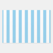 Baby Blauw en Wit Verschillende Maten Vert. Stripe Inpakpapier Vel (Voorkant)
