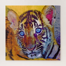 Baby Blue Eyes Tiger Cub