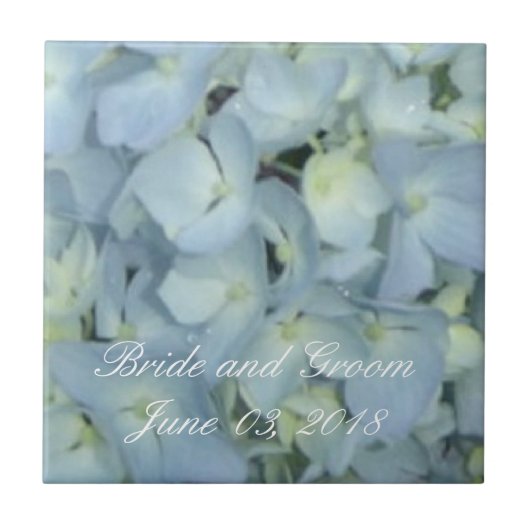Baby Blue Hydrangeas Tegeltje (Voorkant)