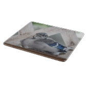 Baby Blue Jay Cutting Board Snijplank (Hoek)