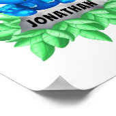 Baby Blue Triceratops Dinosaur White Poster (Hoek)