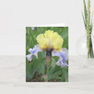 Baby Blue Yellow Small Blank Note Kaart