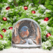 Baby Bluebird in the winter (Noël)