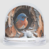 Baby Bluebird in the winter (Arrière)