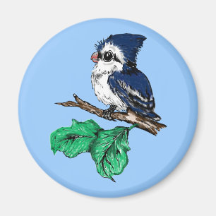 Baby Bluejay Magnet Magneet