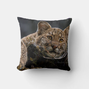 Baby Bobcat Liggend in Tree Kussen