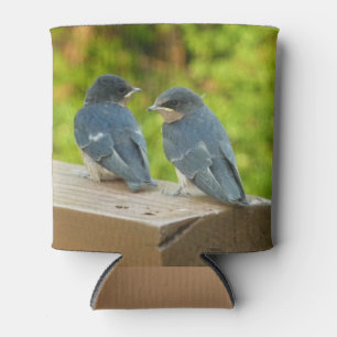 Baby Boerderijzwaluwen Natuur Vogel Fotografie Blikjeskoeler