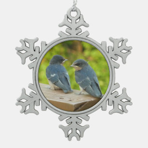 Baby Boerderijzwaluwen Natuur Vogel Fotografie Tin Sneeuwvlok Ornament