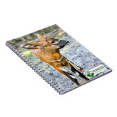 Baby Bongo Notitieboek (Rechterzijde)