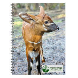 Baby Bongo Notitieboek