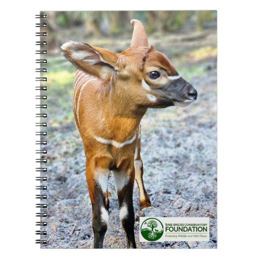 Baby Bongo Notitieboek (Voorkant)