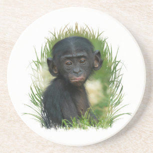 Baby Bonobo Ape Zandsteen Onderzetter
