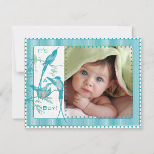 Baby Boy Aqua Vogels Afbeelding Aankondiging