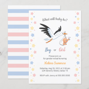 Baby Boy Meisje Ooievaar Geslacht Onthulling Party Kaart