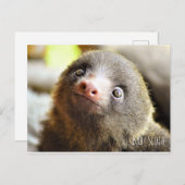 Baby briefkaart (Voorkant / Achterkant)