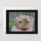 baby briefkaart (Voorkant / Achterkant)