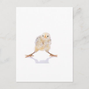 Baby Briefkaart