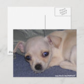 Baby Briefkaart. Briefkaart (Voorkant / Achterkant)