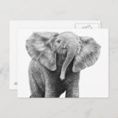 Baby Briefkaart olifant (Voorkant / Achterkant)
