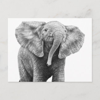 Baby Briefkaart olifant