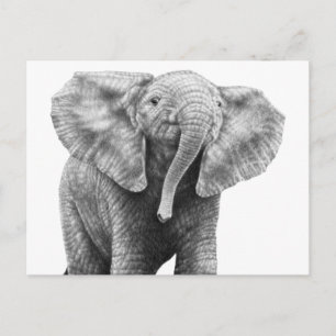 Baby Briefkaart olifant